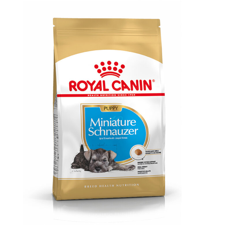 Royal Canin Puppy Miniature Schnauzer pienso para perros , , large image number null